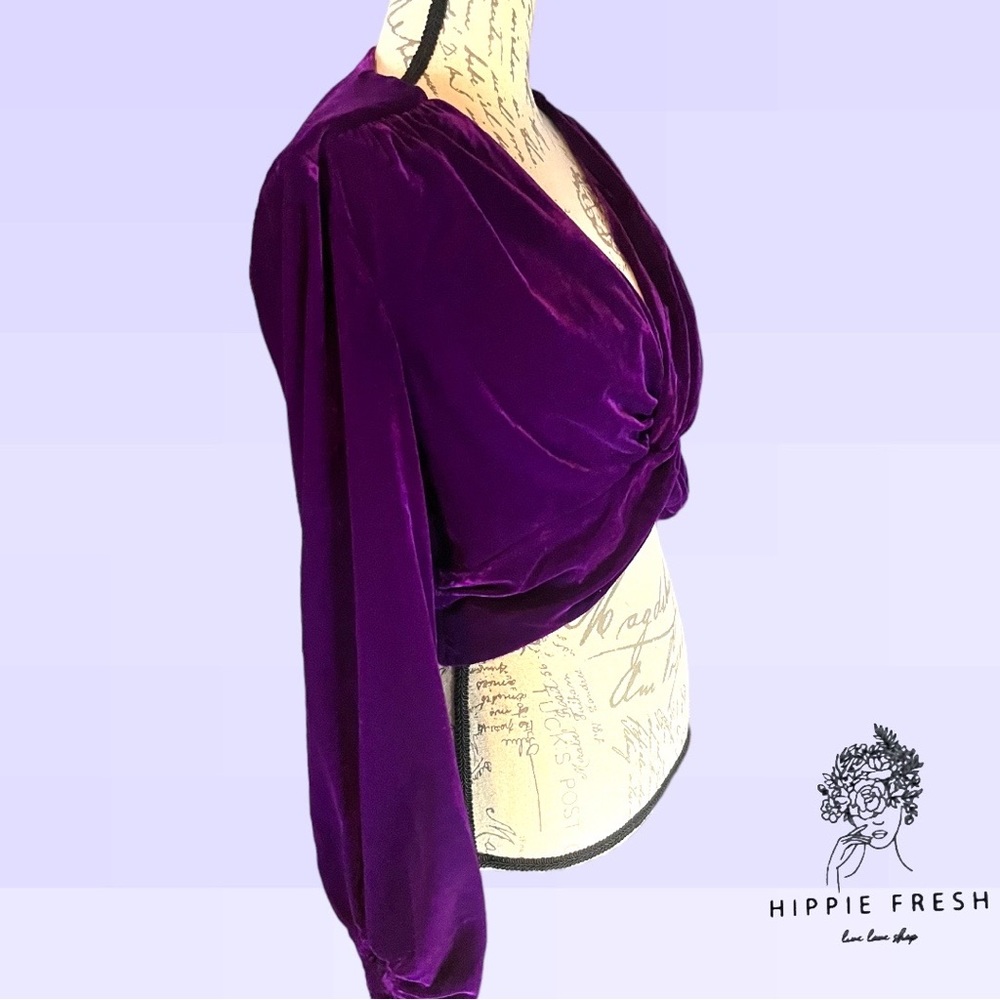 Zara Purple Velvet Blouse - Picture 7 of 8